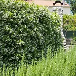 Vila Unique Antistress Oasis Antiqua Osor