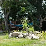 Unique Antistress Oasis Antiqua Vila