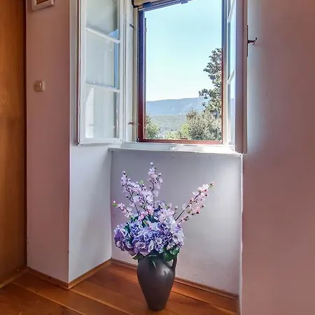 Unique Antistress Oasis Antiqua Osor