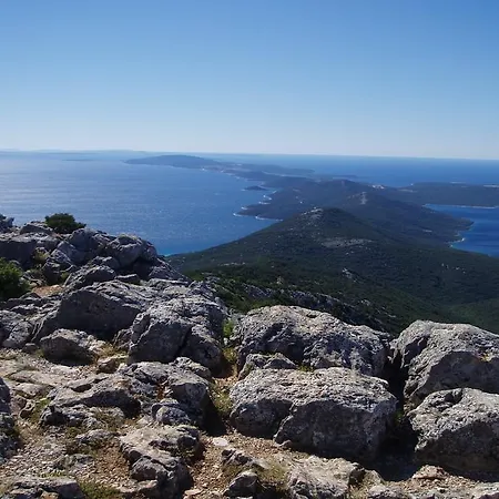 Unique Antistress Oasis Antiqua *