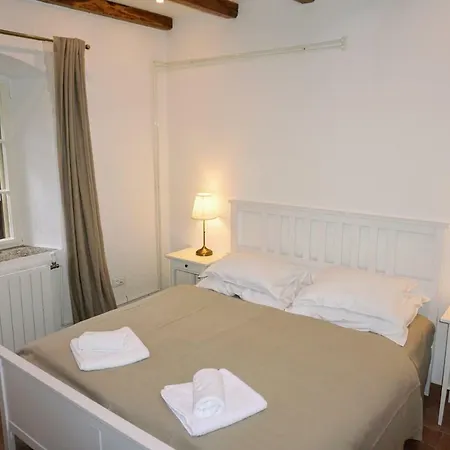 Unique Antistress Oasis Antiqua