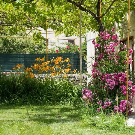 Vilă Unique Antistress Oasis Antiqua Osor