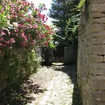 Unique Antistress Oasis Antiqua *