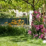 Vila Unique Antistress Oasis Antiqua Osor