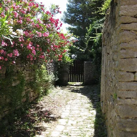 Unique Antistress Oasis Antiqua *
