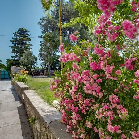 Vila Unique Antistress Oasis Antiqua