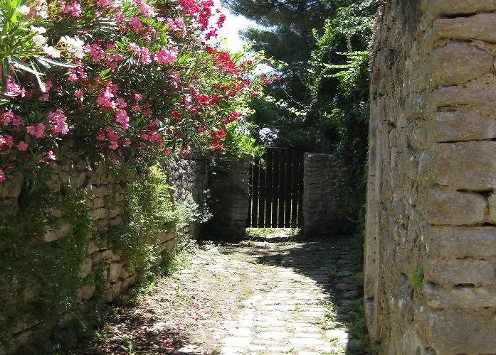 Unique Antistress Oasis Antiqua *