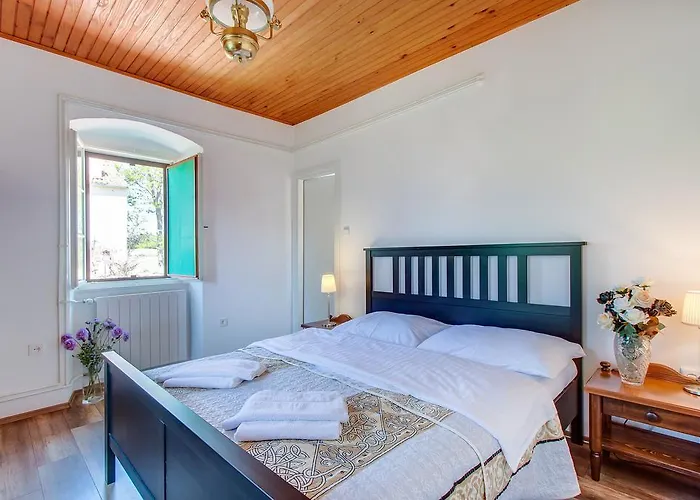 Unique Antistress Oasis Antiqua *