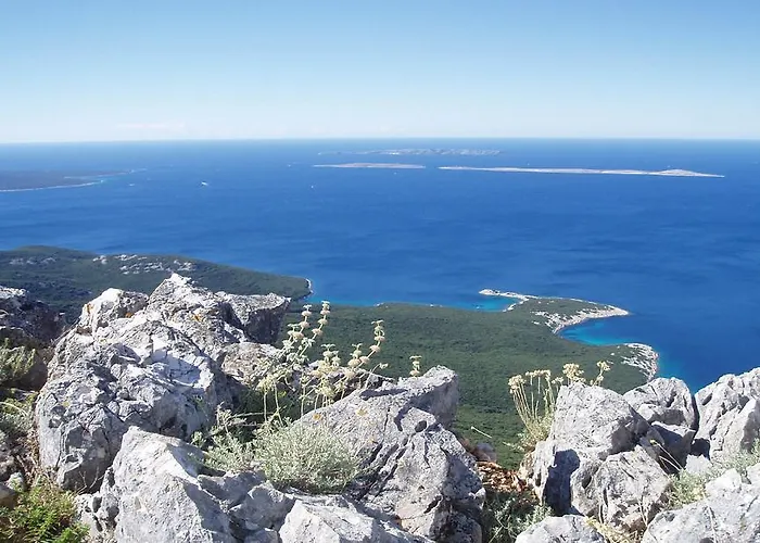 Unique Antistress Oasis Antiqua * Osor