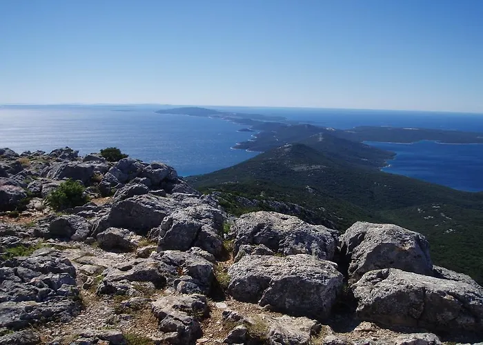 Unique Antistress Oasis Antiqua *