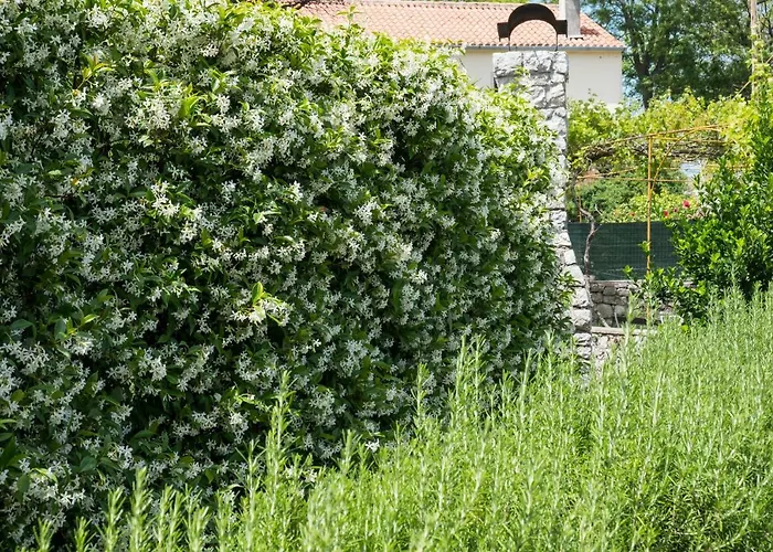 Villa Unique Antistress Oasis Antiqua Osor